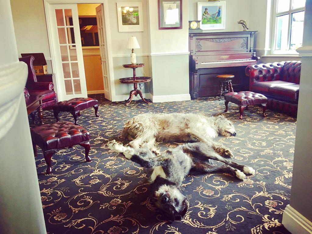 Hotel Milltown House Dingle Zewnętrze zdjęcie